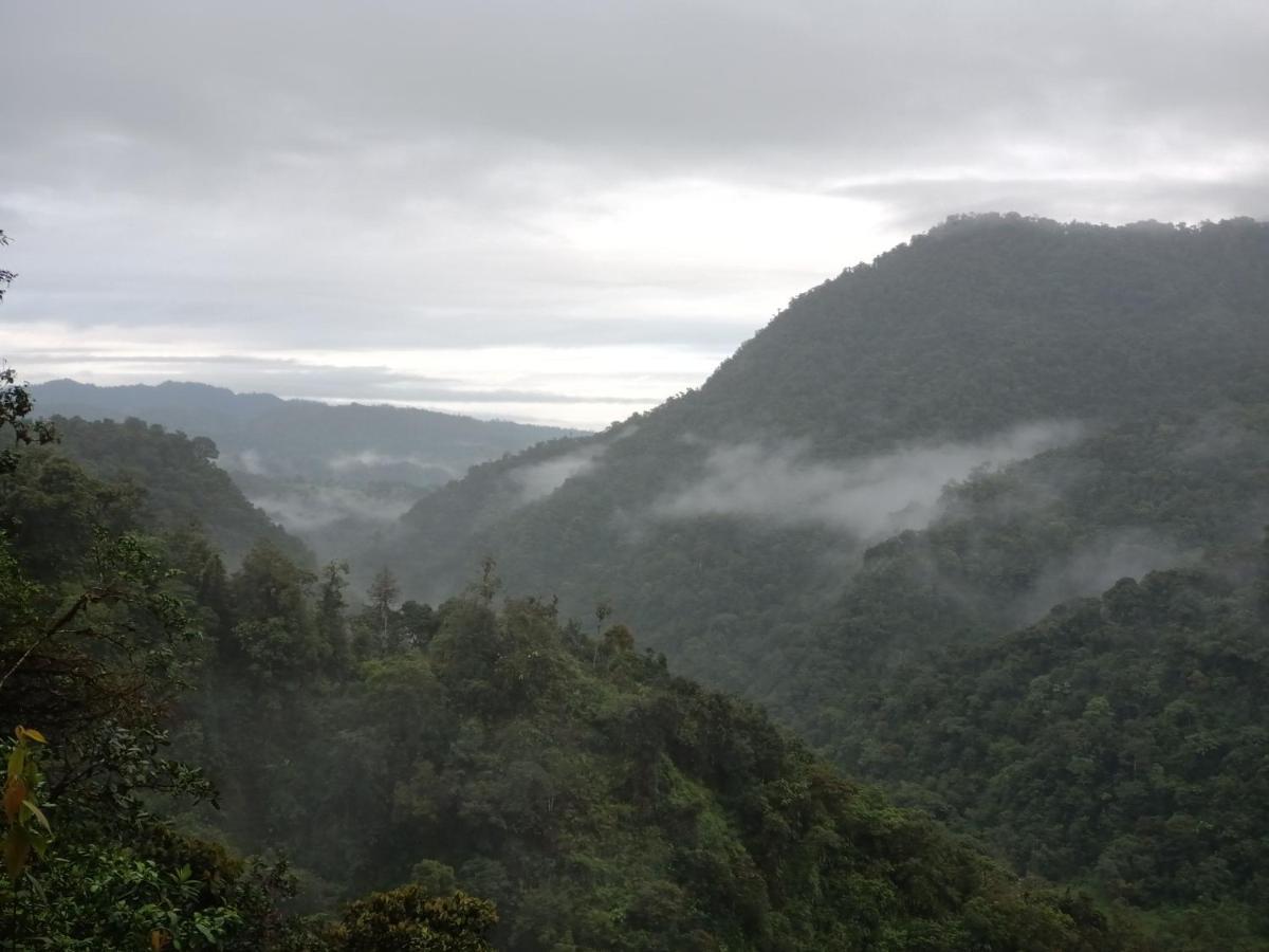 Biohostal Mindo Cloud Forest 外观 照片